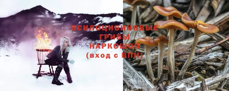 Псилоцибиновые грибы Magic Shrooms  Демидов 